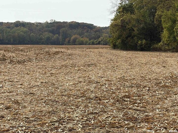 Property Photo: 8526 Lot 92 N Thousand Dollar Road IL 61517