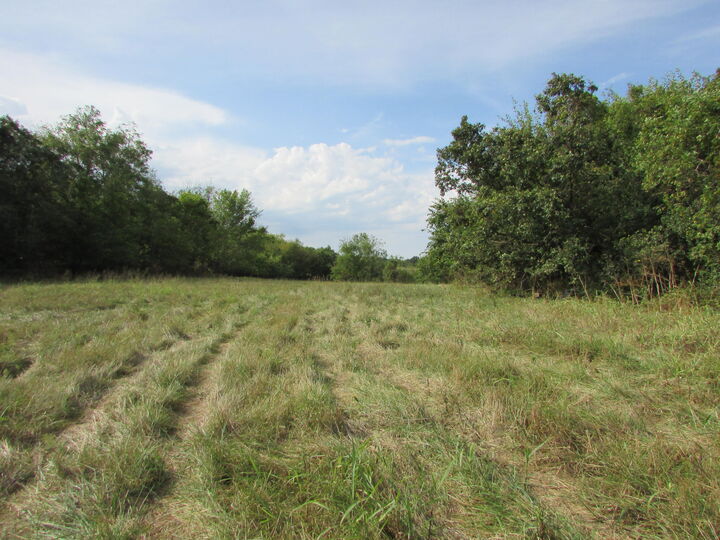 Property Photo:  Tr 1 N Metzletein Road  MO 65610 