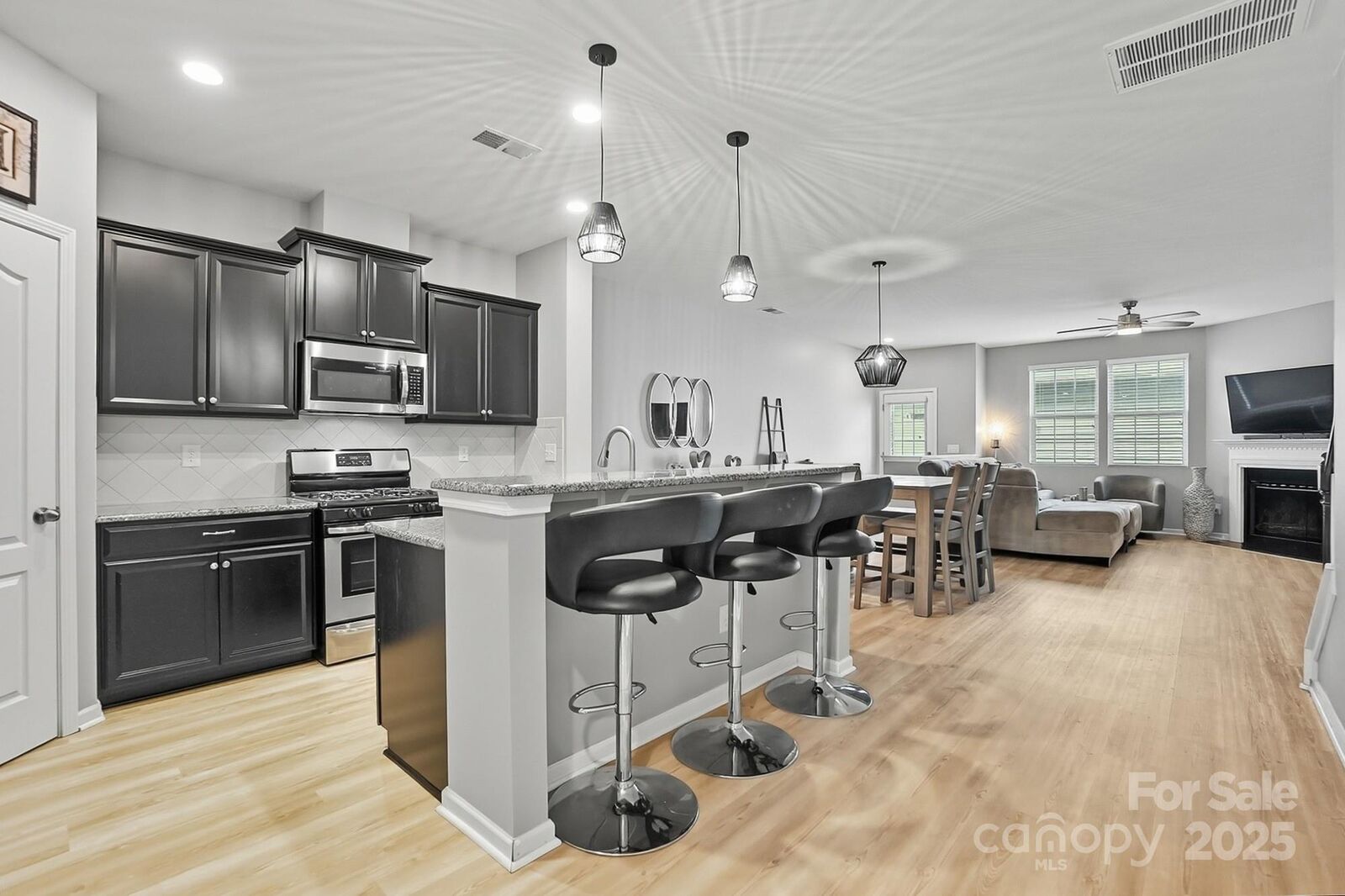 Property Photo:  3033 Honeylocust Lane  SC 29707