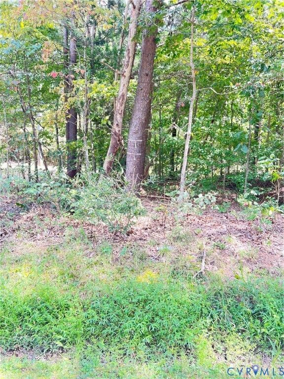 Property Photo:  0 Gatewood Road  VA 22580 