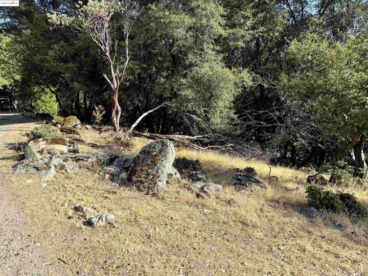 Property Photo: 21858 Phoenix Lake Rd CA 95370