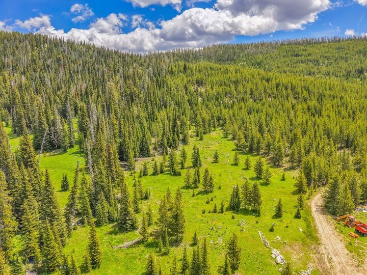 Property Photo:  Nhn Beehive Basin Road  MT 59730 