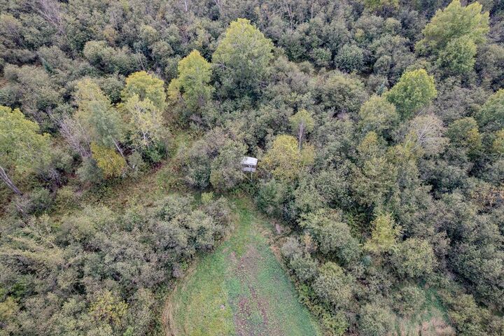 Property Photo:  40 Acres Lincoln Dr  WI 54487 