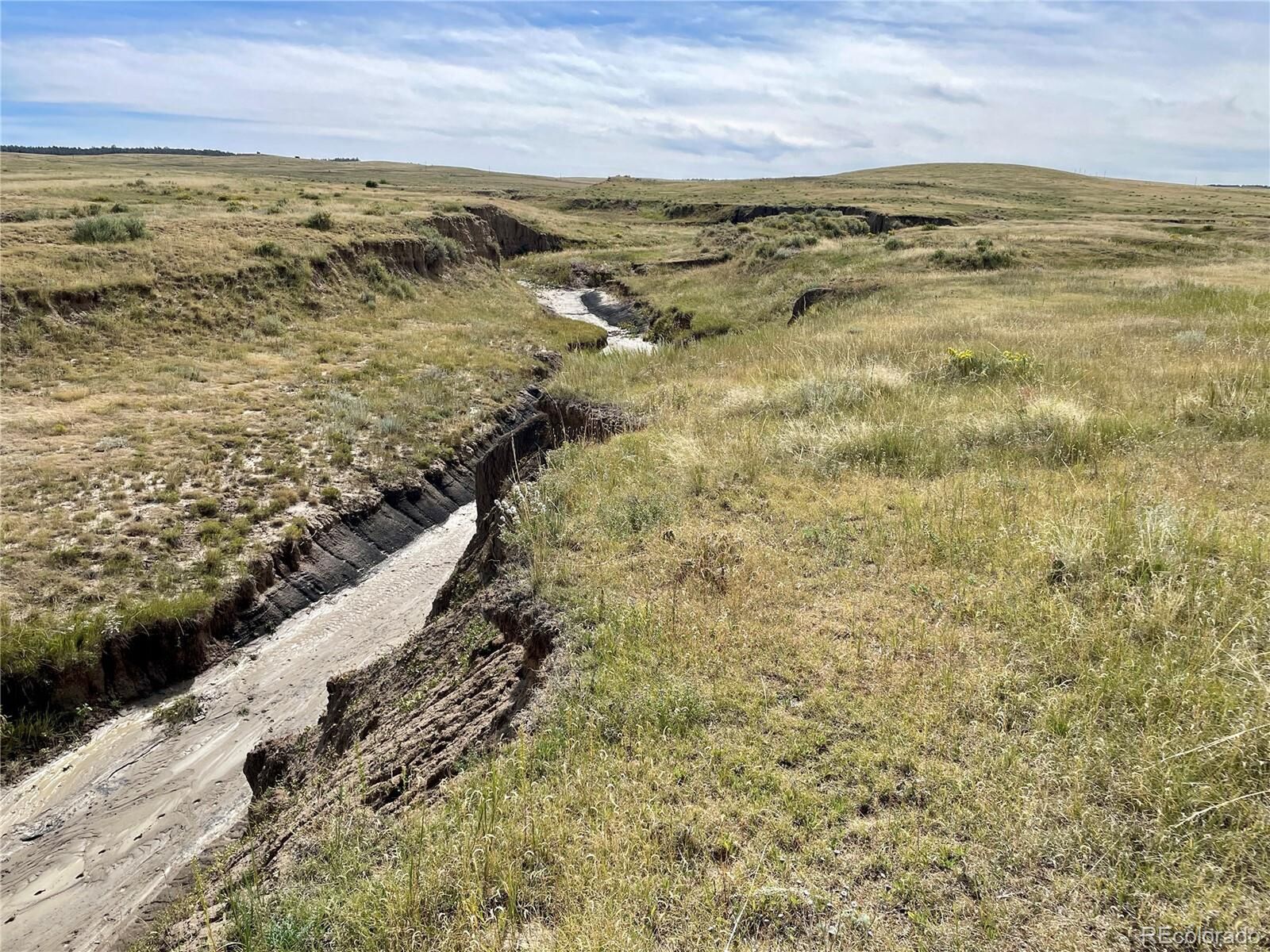 Property Photo:  3 County Road 77  CO 80808 