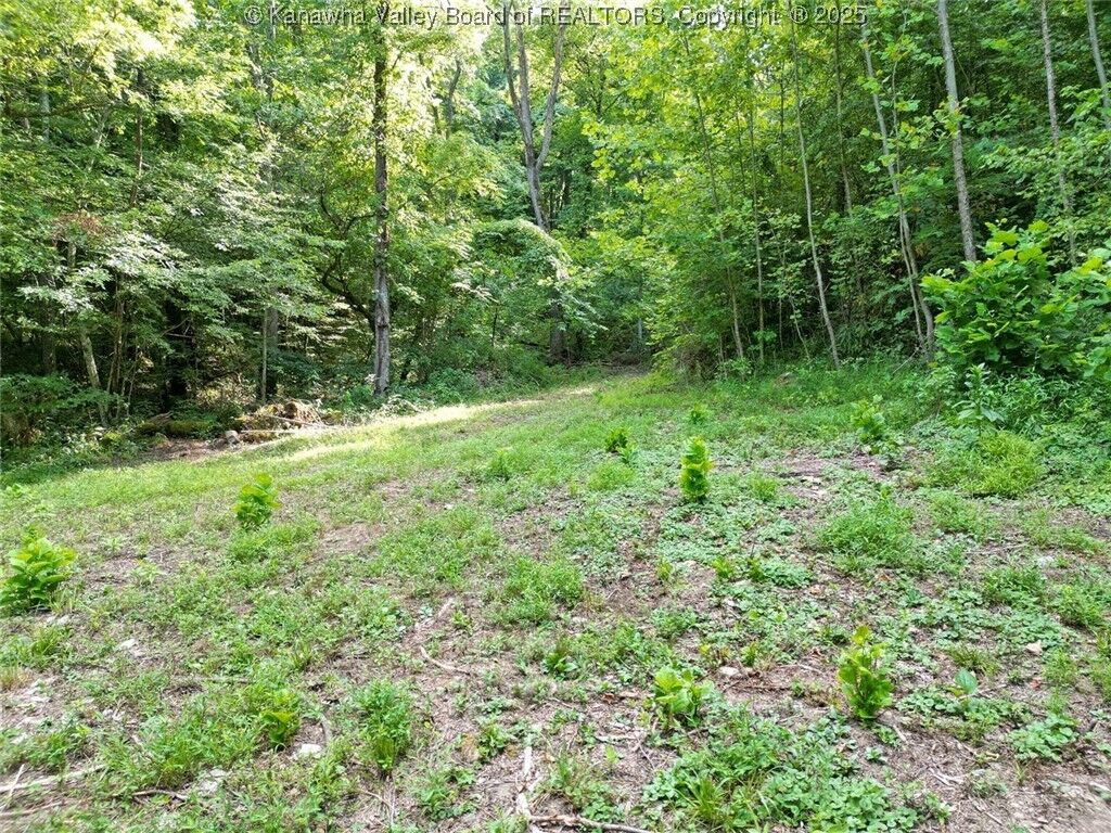 Property Photo: 50A Island Branch WV 25320