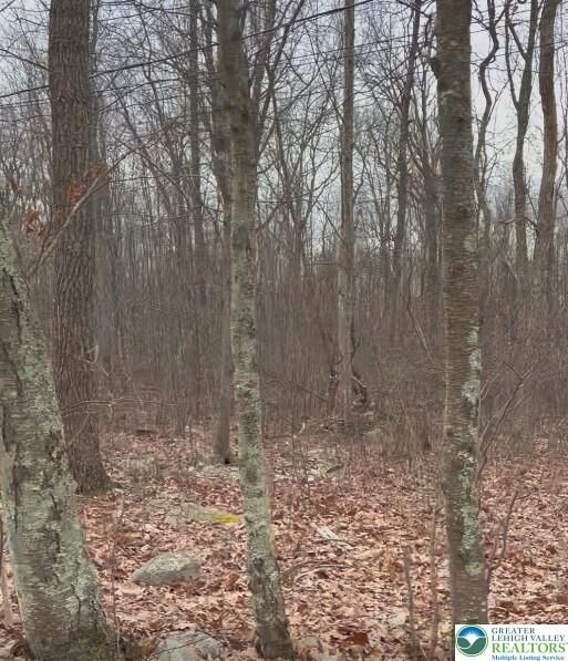 Property Photo:  191 Opal Way  PA 18302 