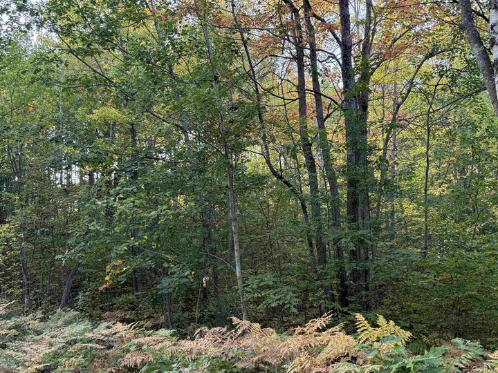 Property Photo: 000 Old Hwy 2 WI 54847