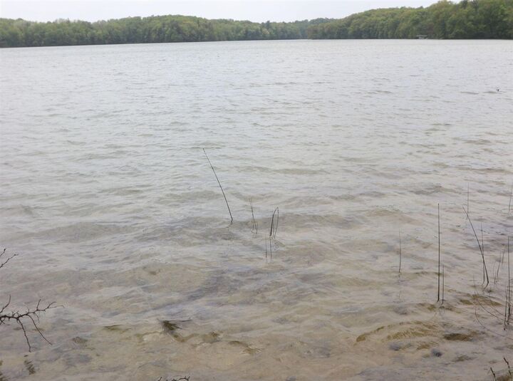 V/L Woods Rd  Bellaire MI 49615 photo