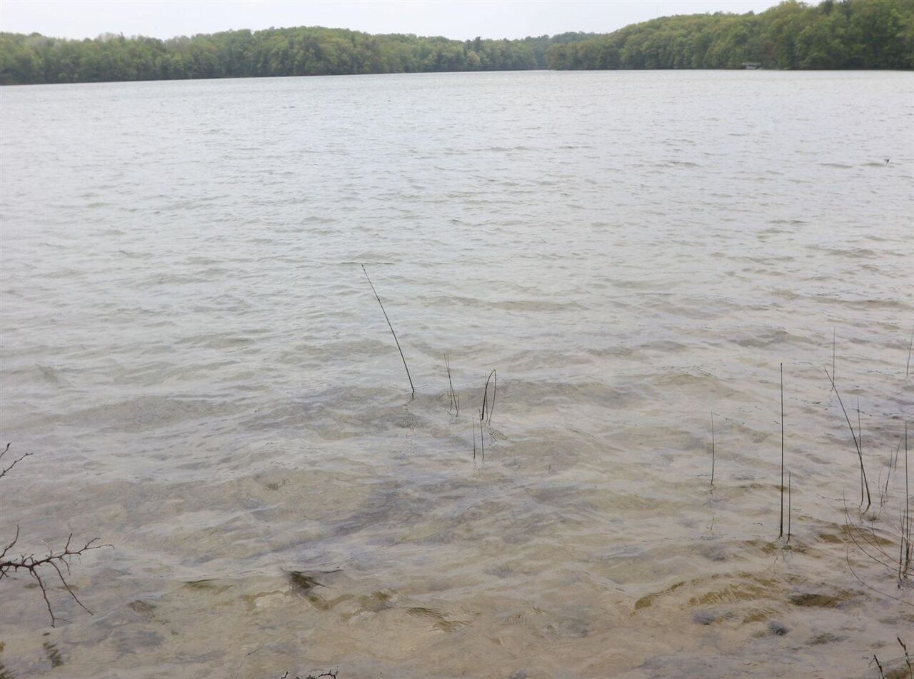 Property Photo: V/L Woods Rd MI 49615