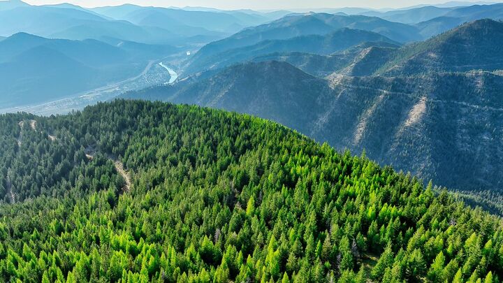 Property Photo:  Nhn Johnson Creek Road  MT 59872 