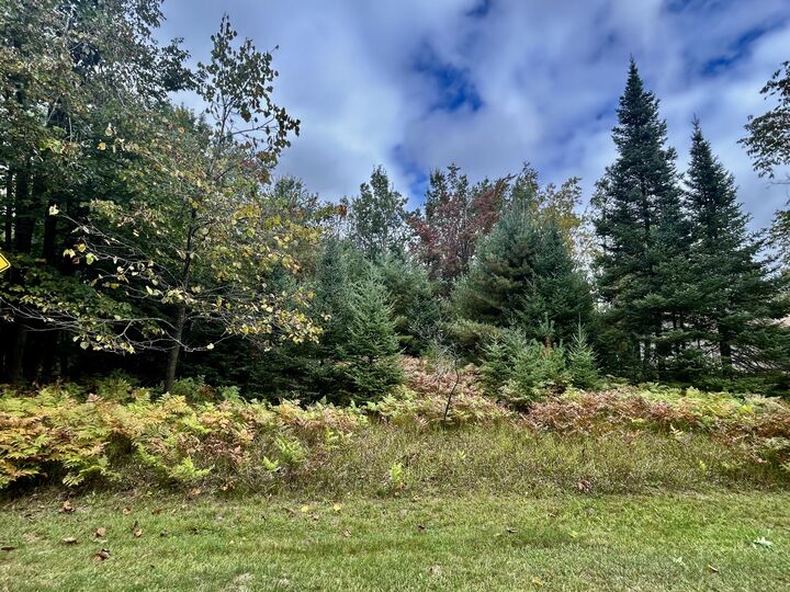 Property Photo: Lot 30 Opal Lake Road MI 49735
