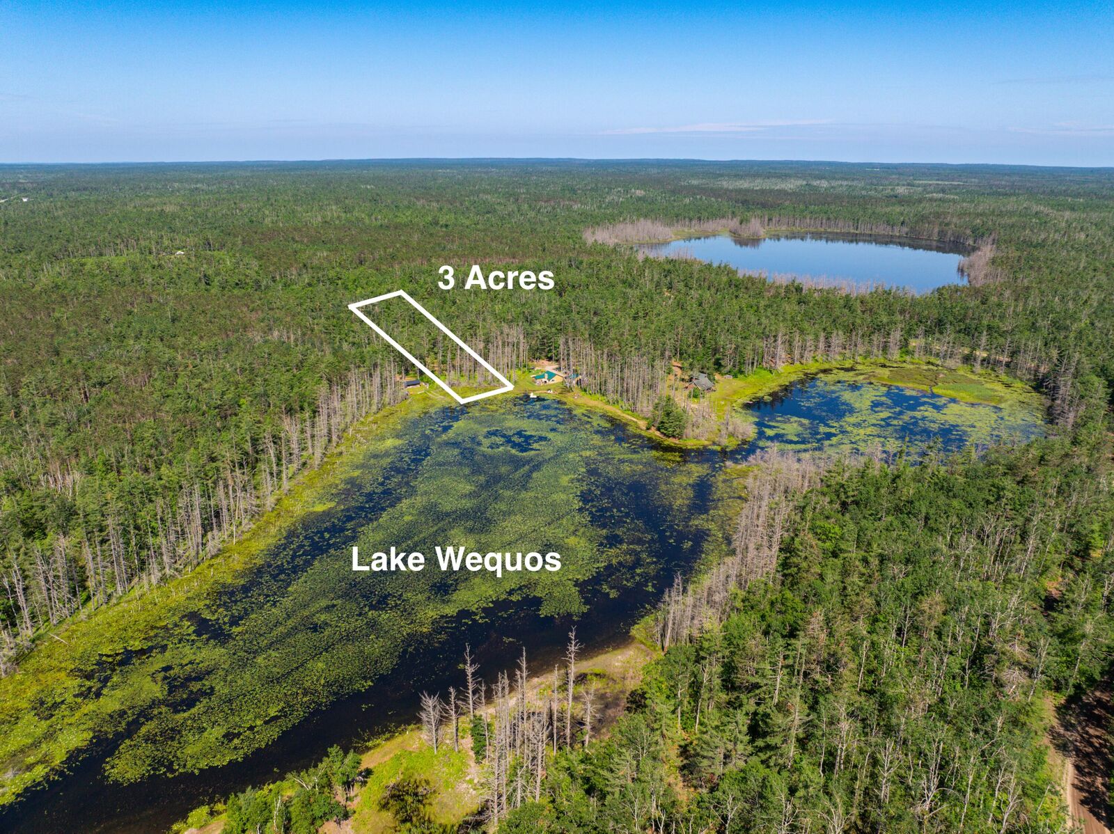 Property Photo: Lot 25 Carothers Drive MI 49735