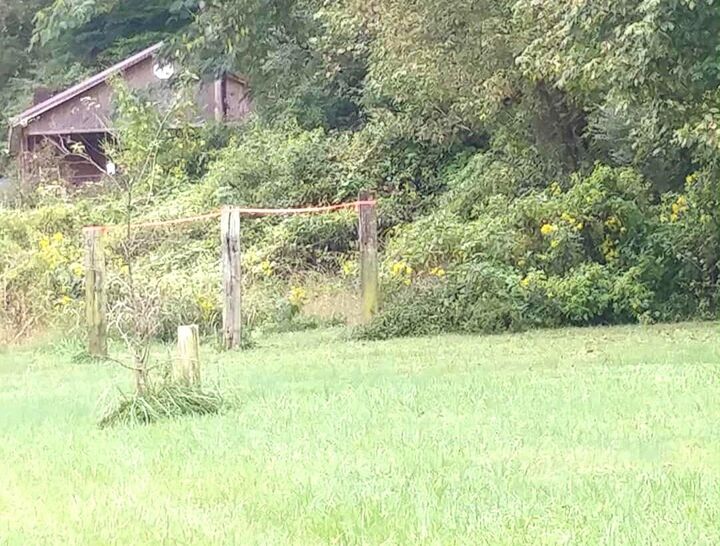 Property Photo: 0 Onzie Stewart Rd KY 40902-0000