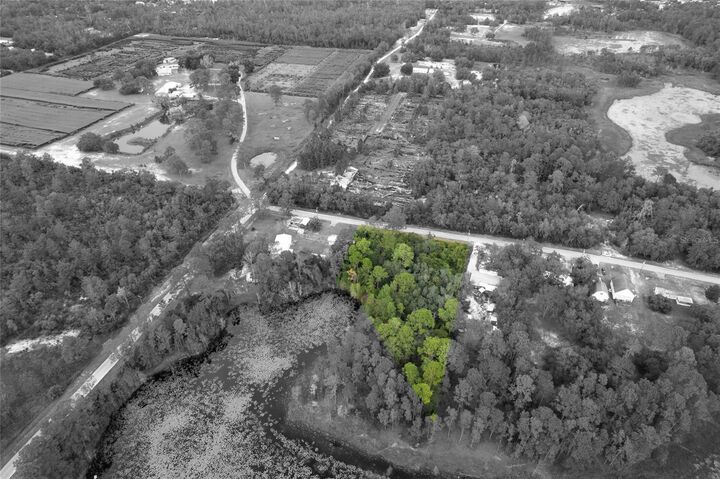 Property Photo:  Pinecrest Road  FL 32736