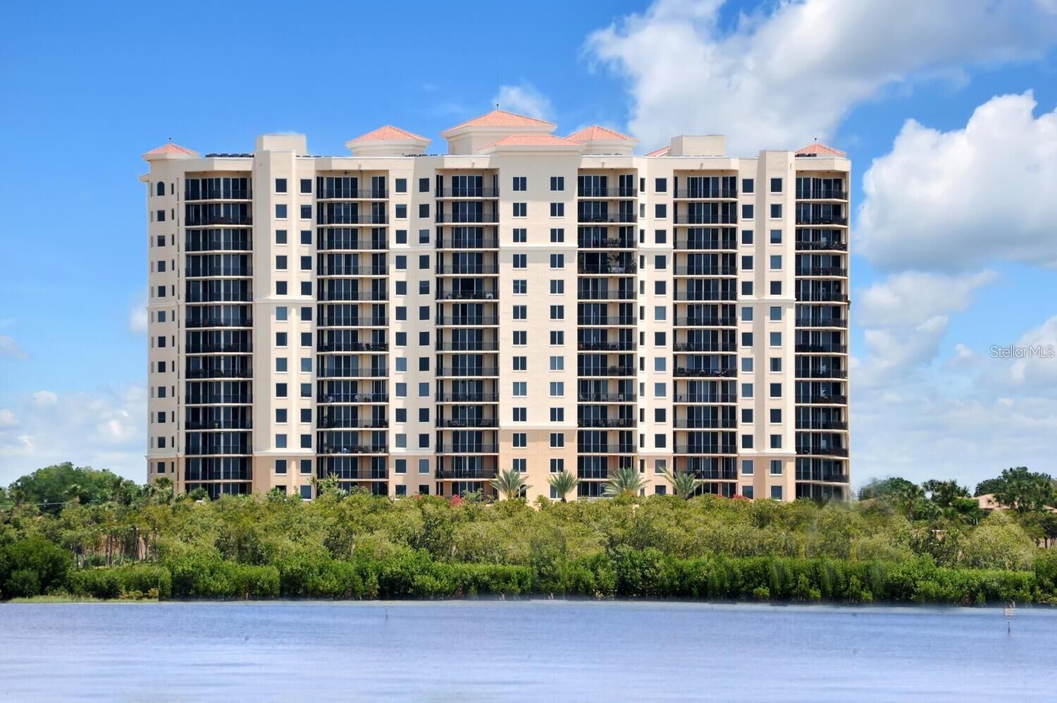 Property Photo:  5823 Bowen Daniel Drive 1405  FL 33616 