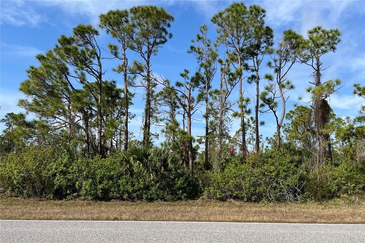 Property Photo: 14767 San Domingo Boulevard FL 33981
