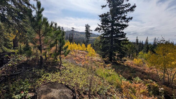 Property Photo: Ms 2066 Moose Trail SD 57754