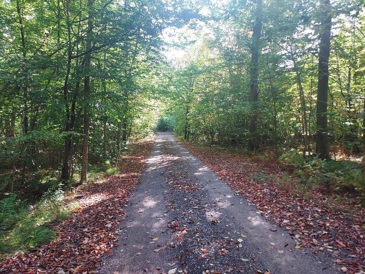 Property Photo:  16698 220th Avenue  MI 49307