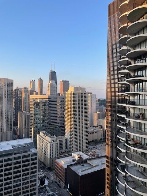 Property Photo:  300 N State Street 4607  IL 60654 