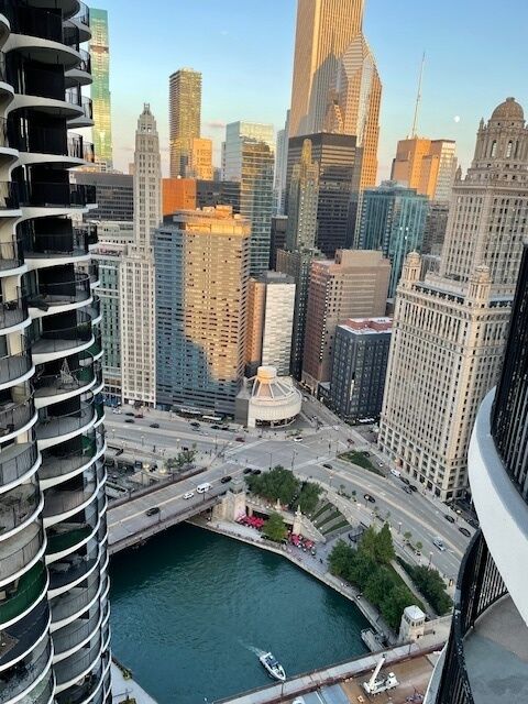 Property Photo:  300 N State Street 4607  IL 60654 