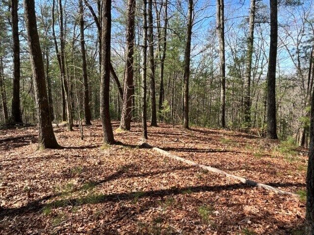Property Photo: Lot 24 Pickett Mill Lane GA 30540
