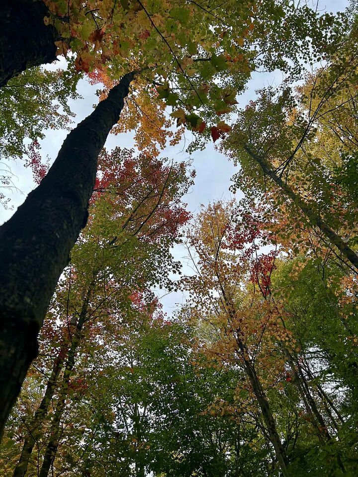 Property Photo:  Tbd Pumpkin Village Road  VT 05455 