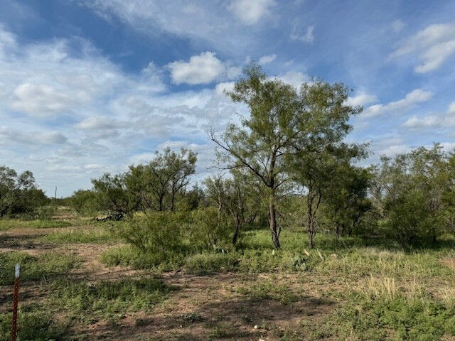 Property Photo: 9526 Iron Spoke Trail TX 76934