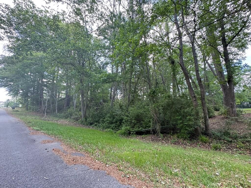 Property Photo:  115 Owl Hollow  GA 31757 