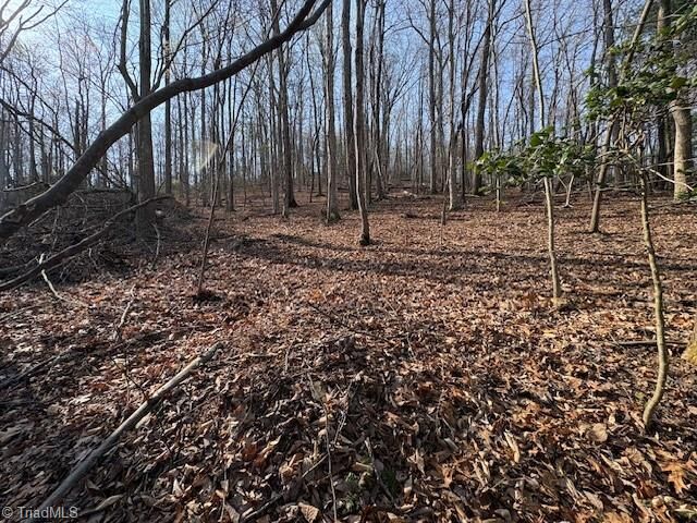 Property Photo:  Tbd Holly Tree Drive  NC 28697 