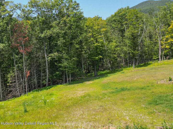 Property Photo:  61 Hillside  NY 12494 