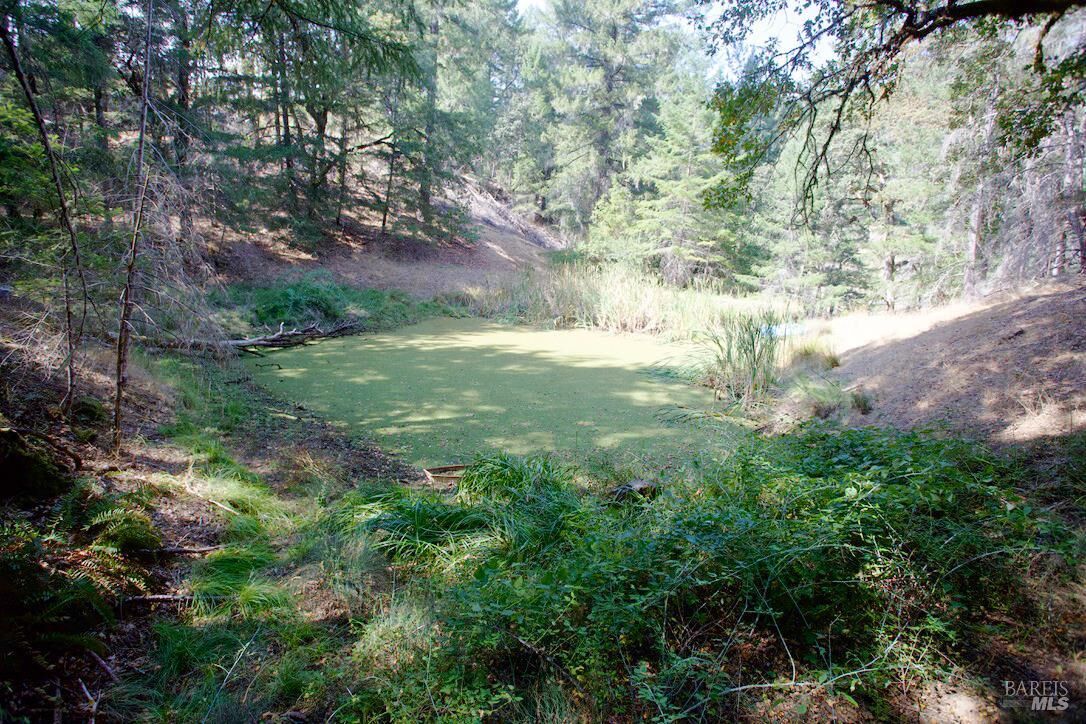Property Photo:  3600 Blackhawk Drive  CA 95490 