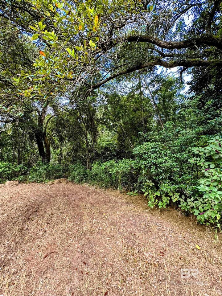 Property Photo:  17671 Williams Lane  AL 36580 