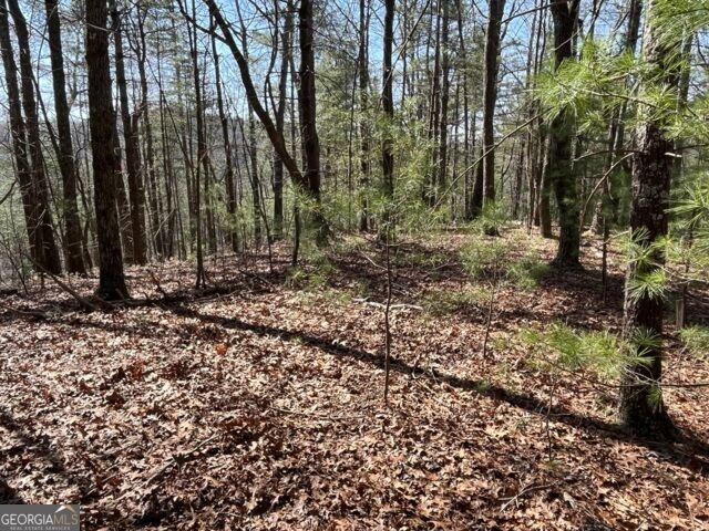 Property Photo:  Lt 24 Pickett Mill Lane  GA 30540 
