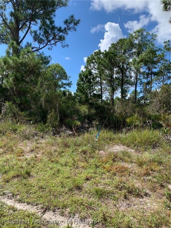 Property Photo:  1148 Wildflower Street  FL 33852 