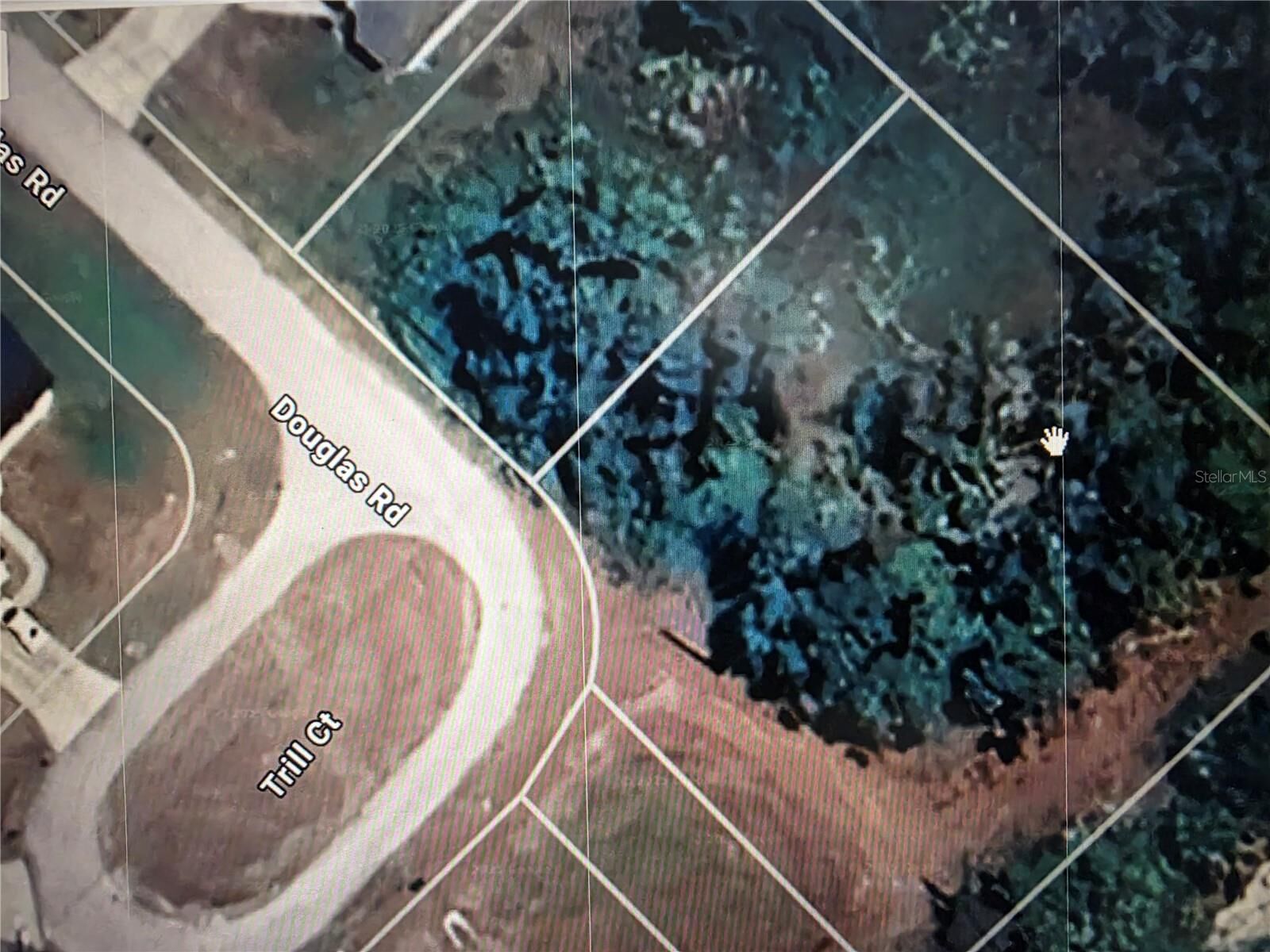 Property Photo:  Douglas Road  FL 34288 