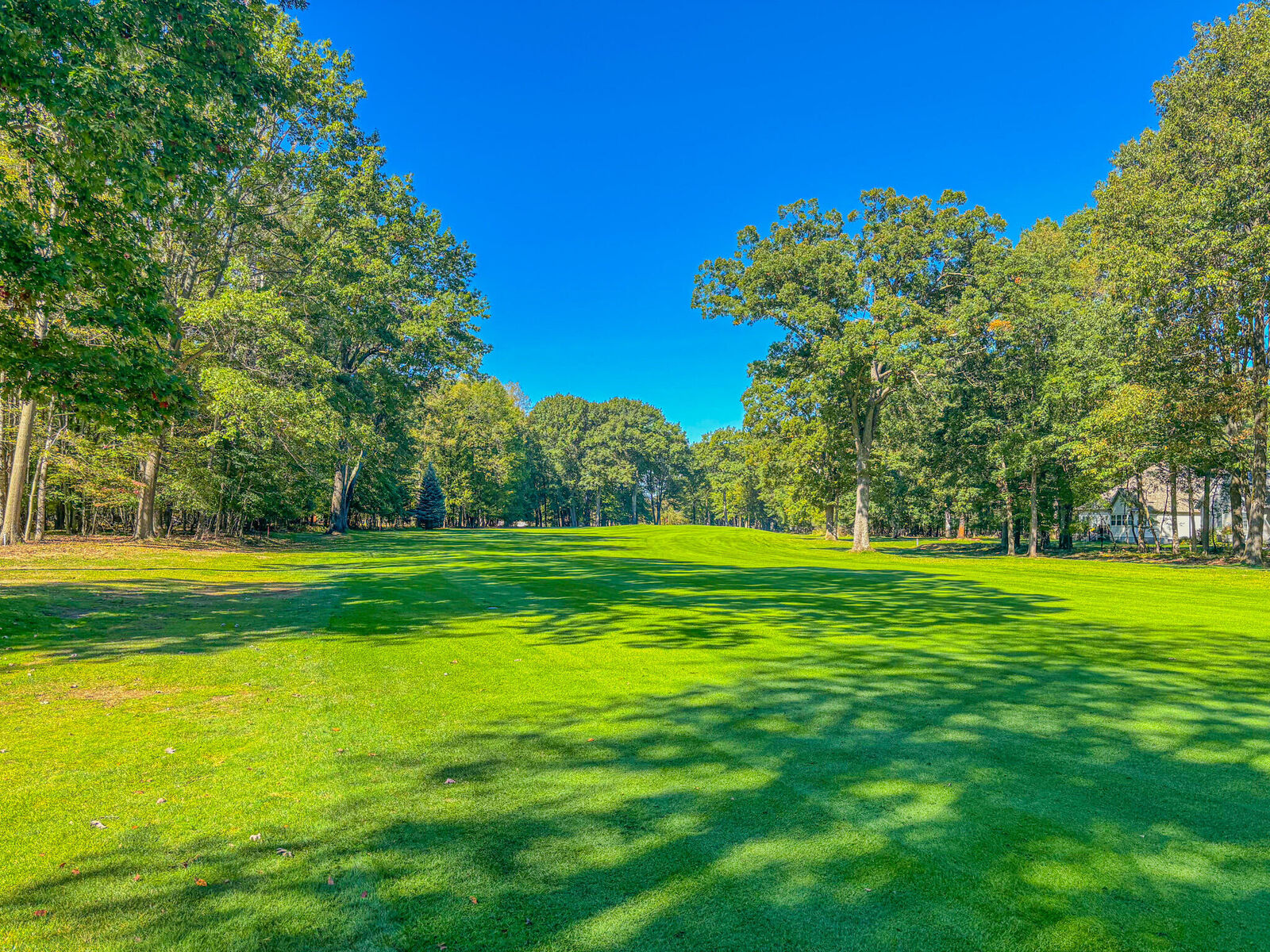 Property Photo: 9861 Sunset Drive MI 49346