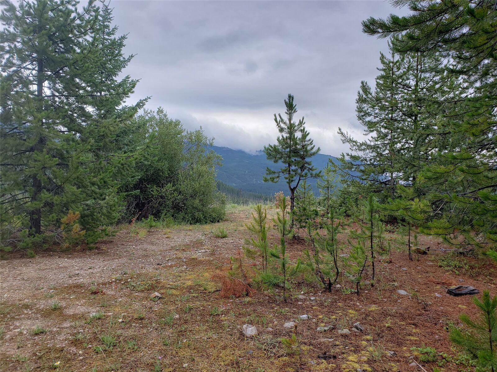 Property Photo:  Lot 15 Nine Mile Road  MT 59846 