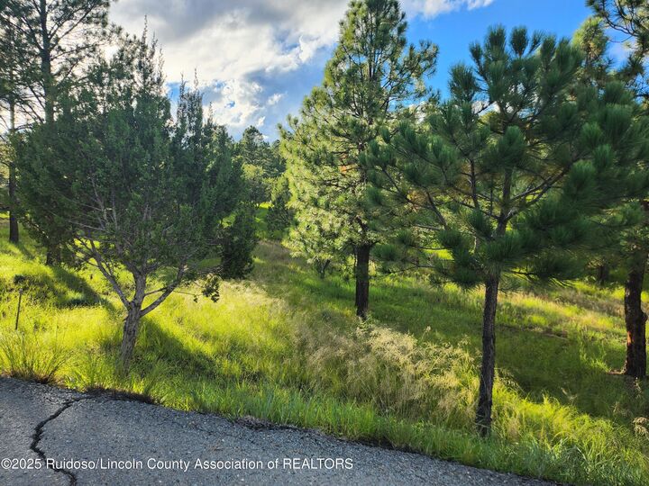 Property Photo:  Lot 43 Alto Mesa Road  NM 88312 