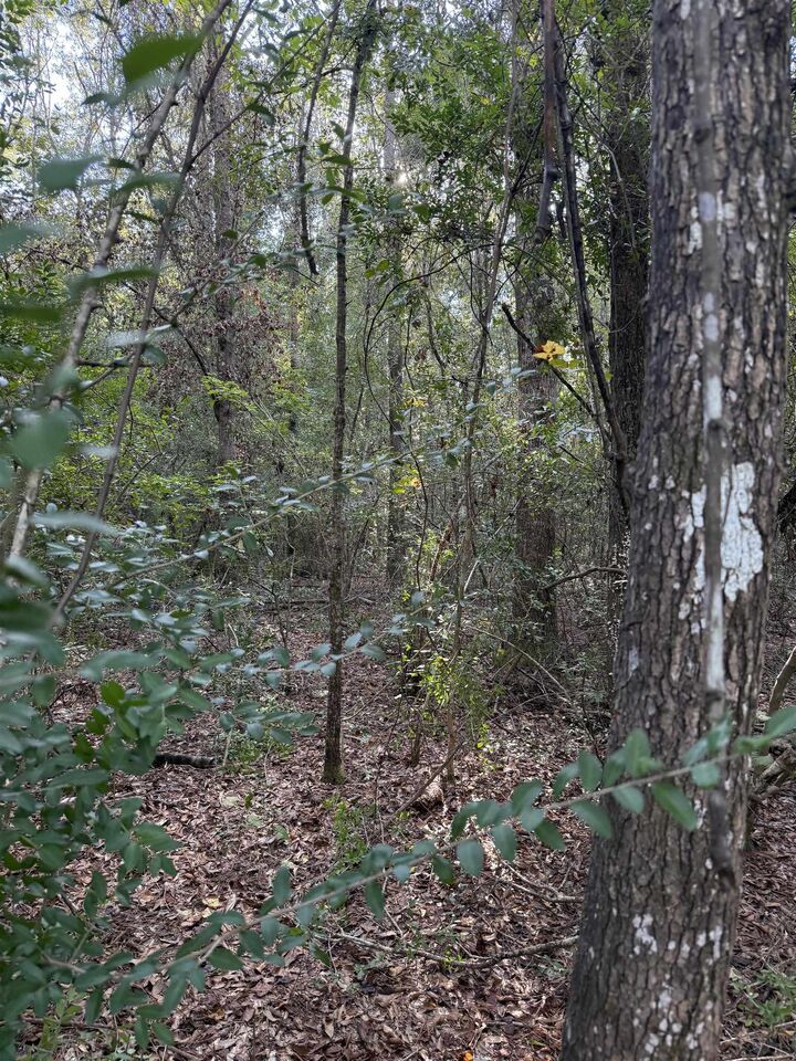 Property Photo:  0000 Overstreet Loop  TX 77625 