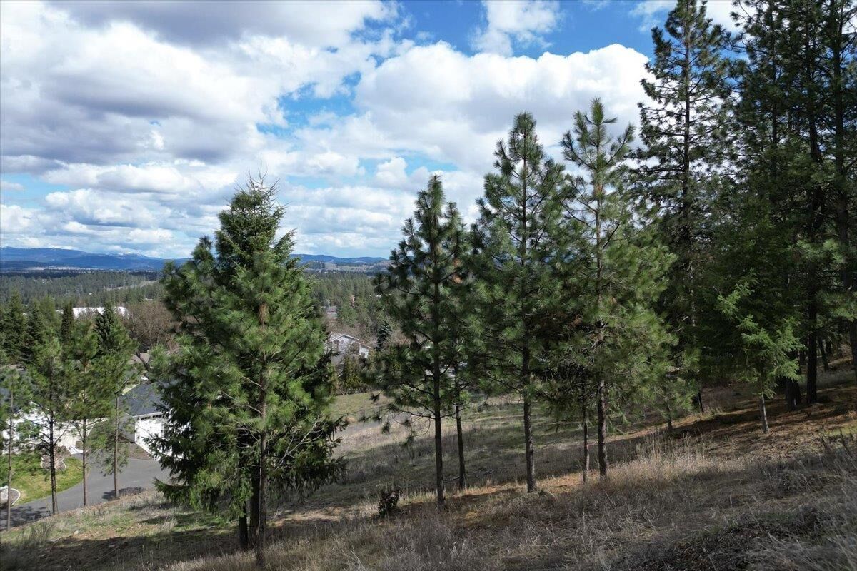 Property Photo:  1411 W Toni Rae Dr  WA 99218 