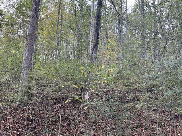 Property Photo:  31557 French Road  OH 45647 