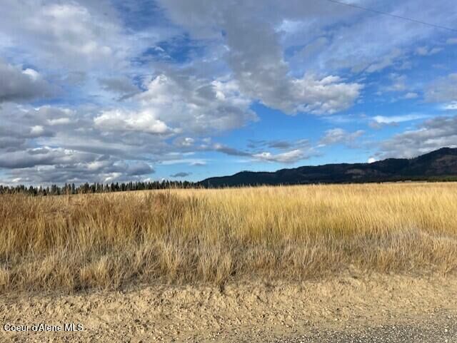 Property Photo:  Nka Fox Road 150 Acres  ID 83870 