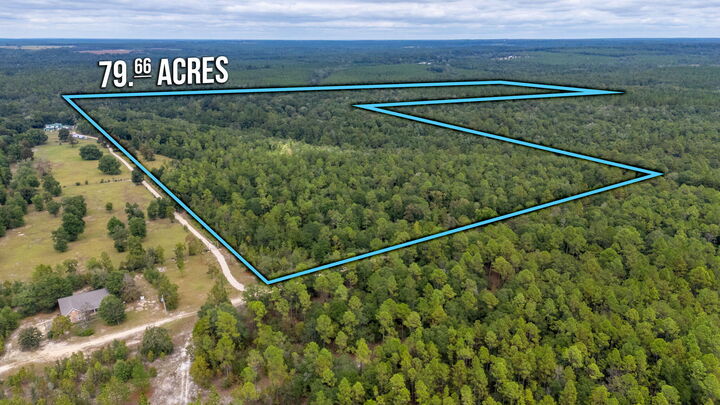 Property Photo:  79 Acres Bucking Up Road  FL 32567 