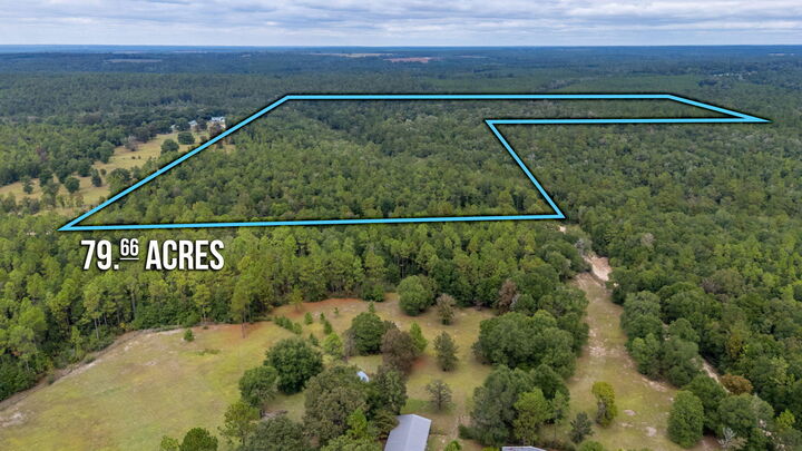 Property Photo: 79 Acres Bucking Up Road FL 32567
