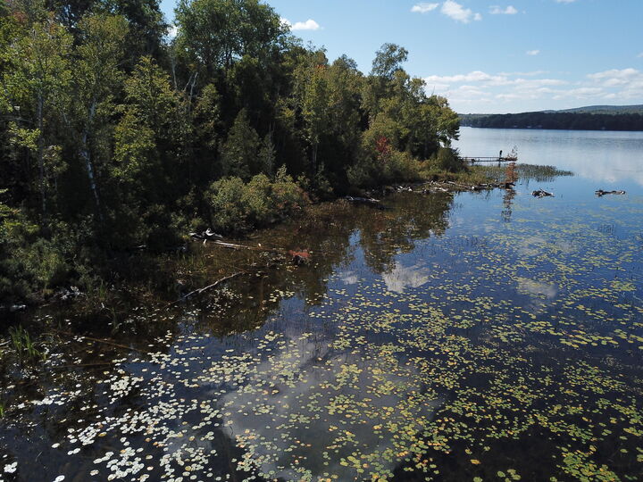 Property Photo:  Tbd Dexter Road  ME 04971 