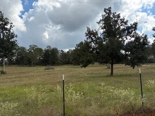 Property Photo:  Tbd Marion Taylor Rd  LA 71403 