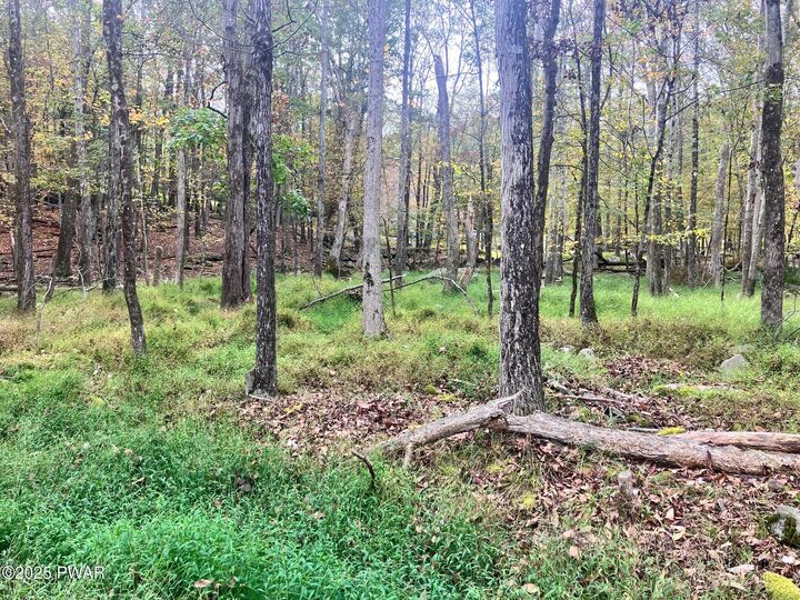 Property Photo: Buck Run Drive PA 18337