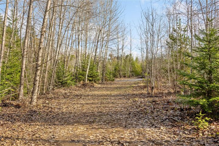 2745 Shaver Rd — photo 1