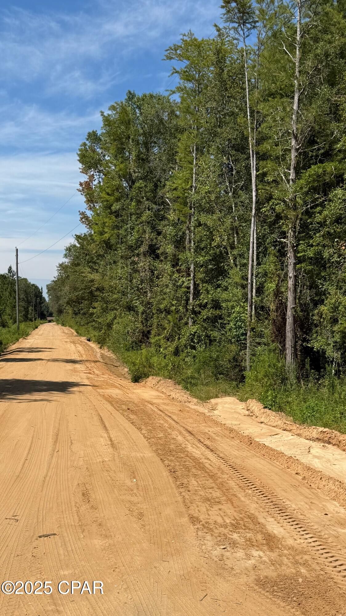 Property Photo:  0 Douglas Ferry Road  FL 32425 