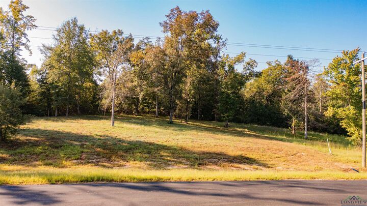 Property Photo:  Lot 61 Big Rock Lake  TX 75650 